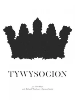 Image of Tywysogion by Huw Pryce Hardback