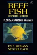 Image of reef fish identification florida caribbean bahamas 4th edition