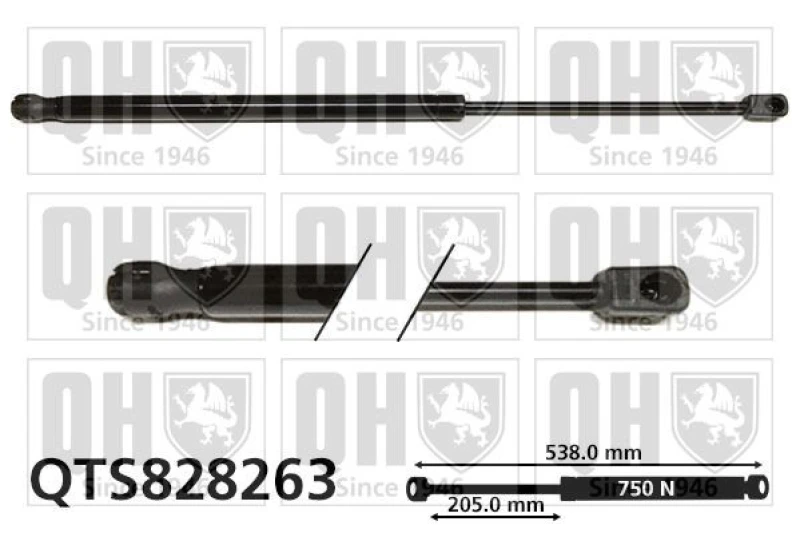 Image of QUINTON HAZELL Tailgate strut QUINTON HAZELL QTS828263