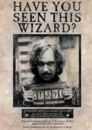 Image of Harry Potter Wanted Sirius Black Poster multicolour