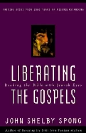 Image of liberating the gospels reading the bible with jewish eyes