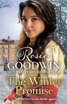 Image of The winter promise by Rosie Goodwin