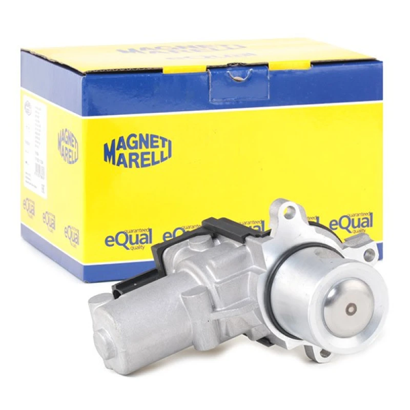 Image of MAGNETI MARELLI EGR valve MAGNETI MARELLI 571822112084