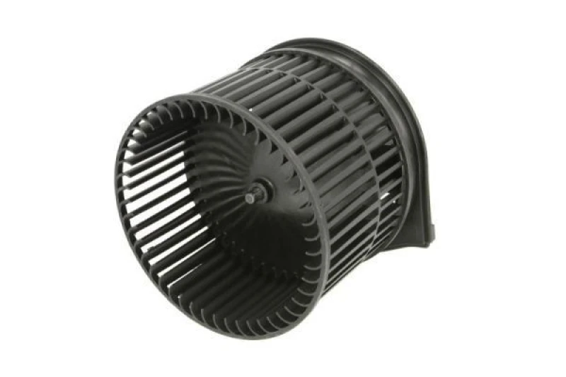 Image of THERMOTEC Blower motor THERMOTEC DDU001TT