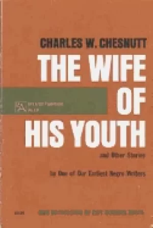 Image of wife of his youth and other stories