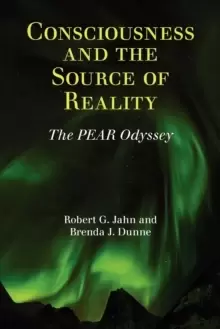 Image of Consciousness and the Source of Reality
