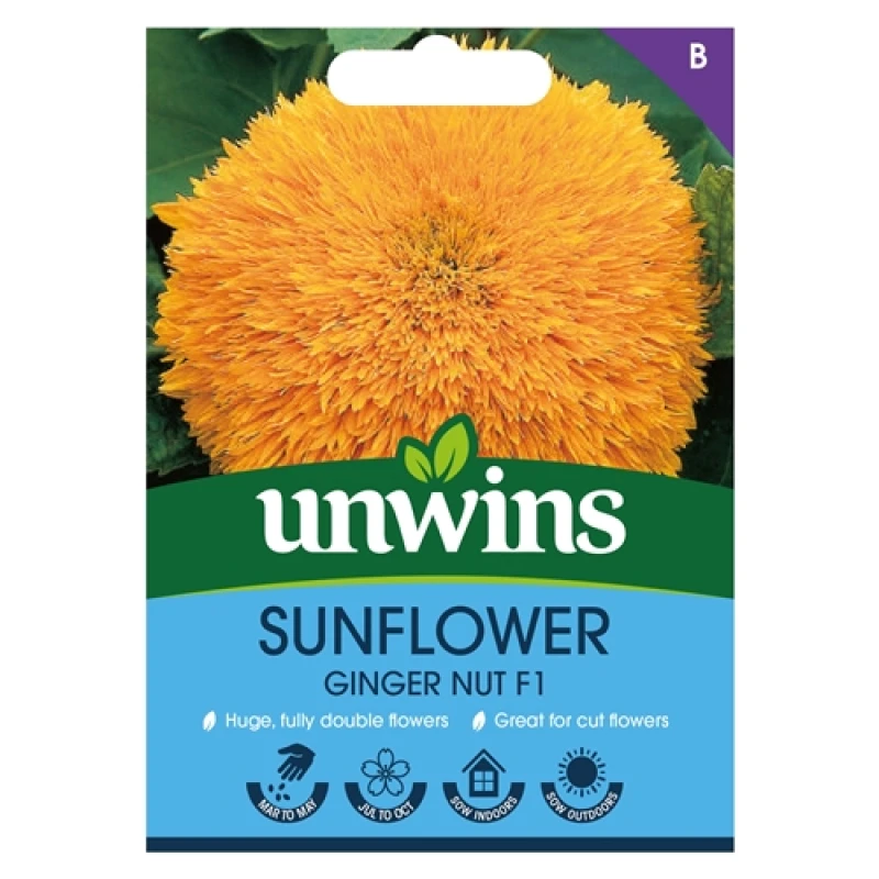 Image of Unwins Sunflower Ginger Nut F1
