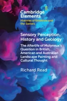 Image of Sensory Perception, History and Geology : The Afterlife of Molyneux's Question in British, American and Australian Landscape Painting and Cultural Tho
