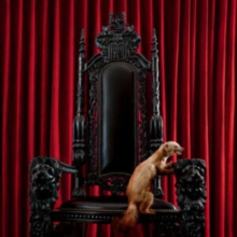 Image of Marten CD / Box Set