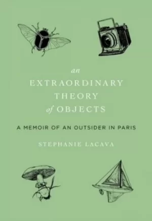 Image of An extraordinary theory of objects by Stephanie LaCava