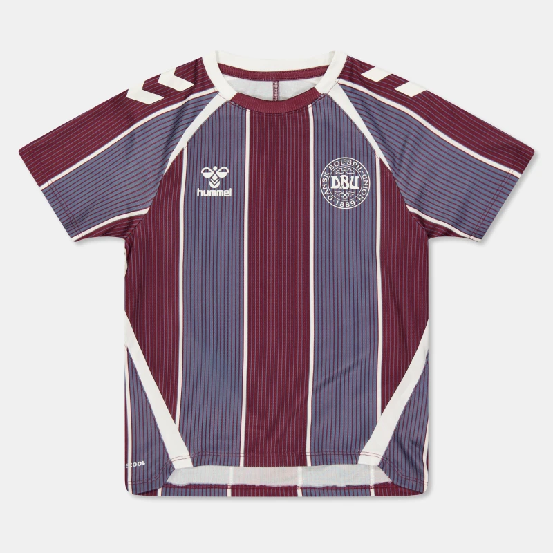 Image of Hummel Denmark Pre Match Shirt 2025 Juniors Multi unisex 9-10 (M)