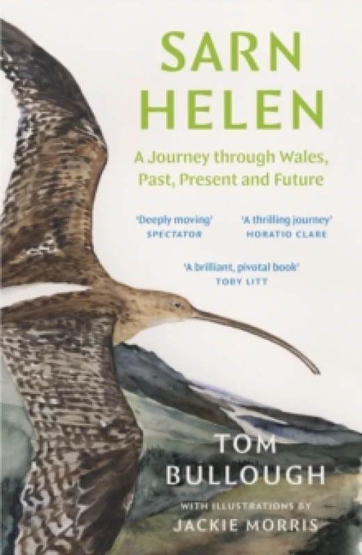 Image of Sarn Helen : A Journey Through Wales, Past, Present and Future Paperback / softback