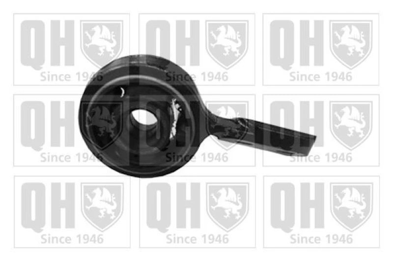 Image of QUINTON HAZELL Trailing arm / Suspension arm bush QUINTON HAZELL EMS8313