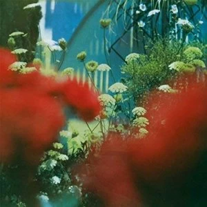Image of Pulled Apart By Horses - The Haze Vinyl