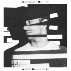 Image of Albert Hammond Jr. - Momentary Masters CD Album - Used