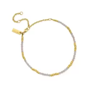 Image of ChloBo Sterling Silver Gold Plated Passionate Sun Rose Quartz Anklet