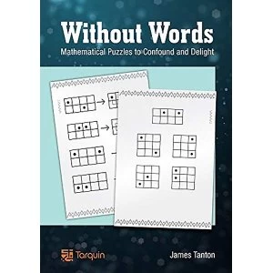Image of Without Words: Mathematical Puzzles to Confound and Delight by James Tanton (Paperback, 2013)