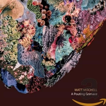 Image of Matt Mitchell - A Pouting Grimace CD