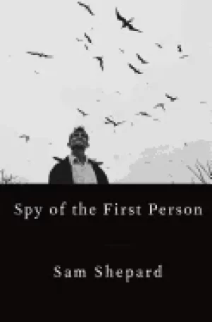 Image of spy of the first person