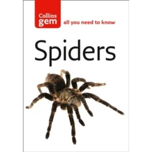 Image of Spiders by Paul Hillyard Paperback