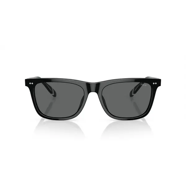 image of Polo Ralph Lauren PH 4205U (500187) Sunglasses