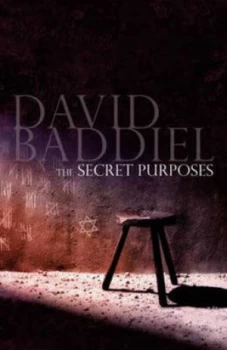 Image of The Secret Purposes by David Baddiel Hardback