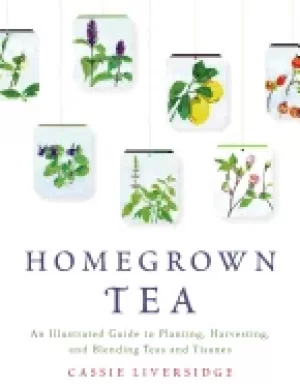 Image of homegrown tea