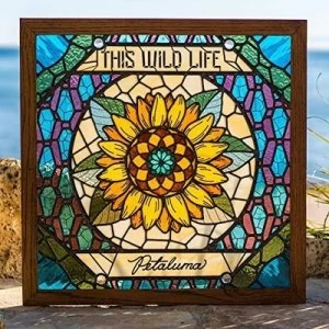 Image of Petaluma by This Wild Life CD Album