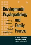 Image of developmental psychopathology and family process theory research and clinic