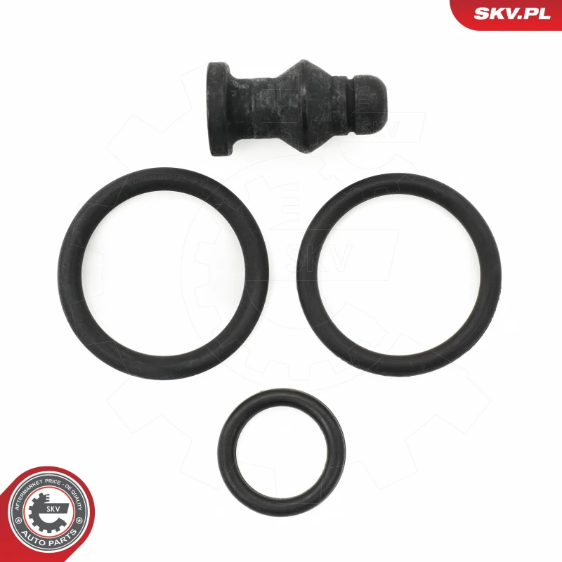 Image of ESEN SKV Repair Kit, pump-nozzle unit ESEN SKV 53SKV197