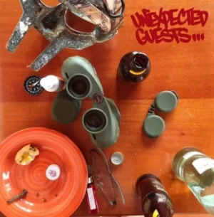 Image of Unexpected Guests by MF Doom Vinyl Album
