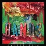 Image of Hands - Synesthesia (Music CD)