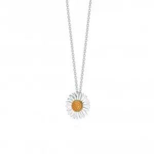Image of Michaelmas Daisy Silver Necklace N6122