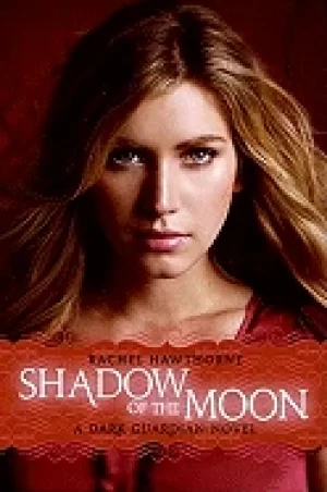 Image of shadow of the moon