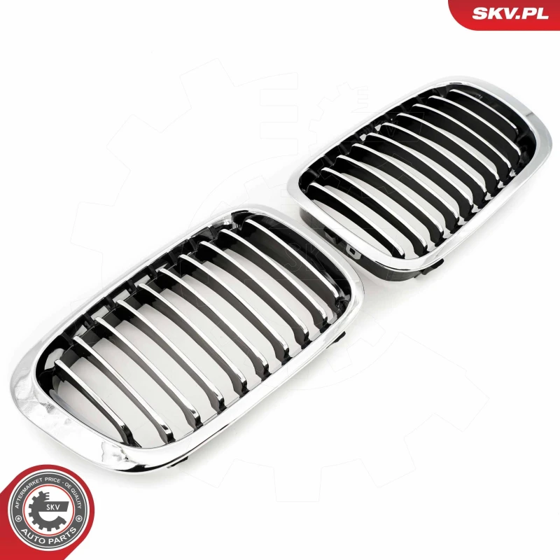Image of ESEN SKV Radiator Grille ESEN SKV 66SKV063