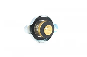 Image of Blue PRINT Cap, radiator RENAULT,HONDA,VW ADC49902 3EB0421130,45113GA021,AY300S0900 PW820414,1640187710,1640187710000,1640187712,1640187712000