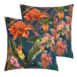 Image of Exotics Outdoor Twin Pack Cushion Multi