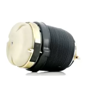 Image of RIDEX Air Spring, suspension 4119A0025 AUDI,A6 Avant (4F5, C6),A6 Limousine (4F2, C6),A6 Allroad (4FH, C6)