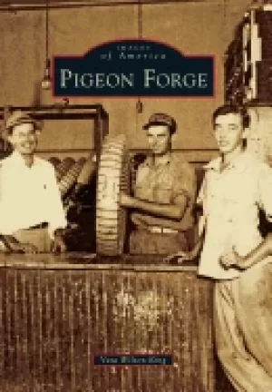 Image of pigeon forge