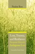 Image of loss trauma and resilience therapeutic work with ambiguous loss