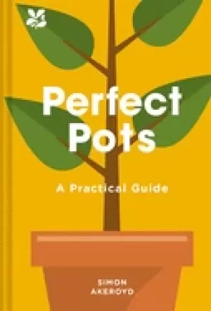 Image of perfect pots