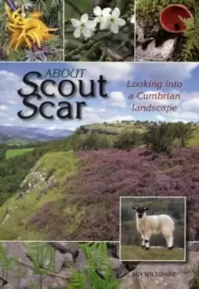 Image of About Scout Scar : Looking into a Cumbrian Landscape
