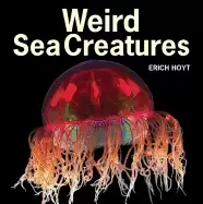 Image of weird sea creatures