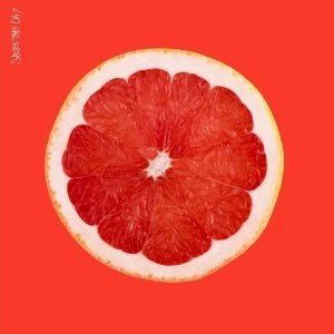 image of Saves The Day - Saves The Day CD