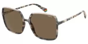 image of Polaroid Sunglasses PLD 6128/S XLT/SP