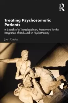 Image of Treating Psychosomatic Patients : In Search of a Transdisciplinary Framework for the Integration of Bodywork in Psychotherapy