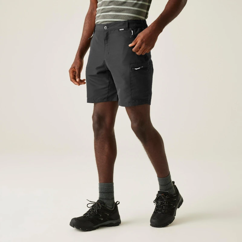 Image of Regatta Leesville III Shorts Ash male 38