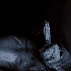 Image of Fluisteraars - Dromers Vinyl