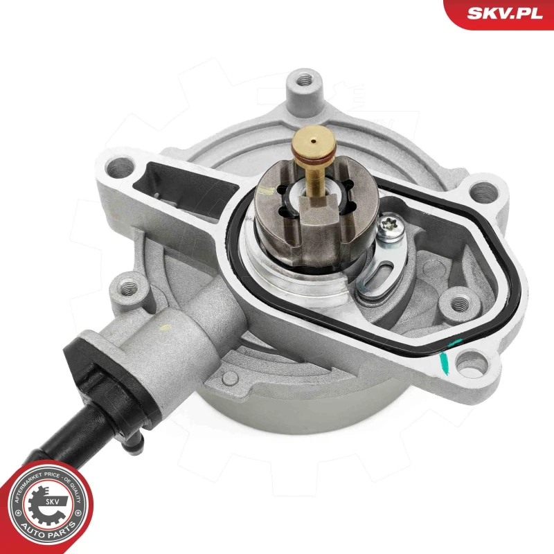 Image of ESEN SKV Brake vacuum pump ESEN SKV 18SKV079