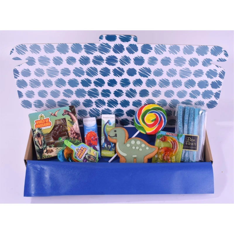 Image of Spicers of Hythe Dinosaur Gift Box Multi unisex One Size